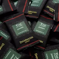 Dammann Frères Dammann - Groene jasmijn thee maand pakket 30 verpakte cristal zakjes - composteerbare theebuiltjes