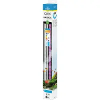 Ciano LED CLE 80