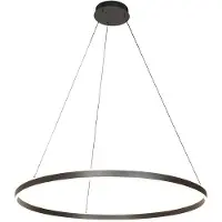 Steinhauer Hanglamp Ringlux 3676ZW Zwart – Dimbare LED ringlamp Ø100 cm met up- en downlight