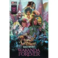 Grupo Erik Poster Marvel - Black Panther - Wakanda Forever Comic 61x91,5cm