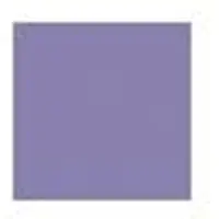 Pilot FriXion Ballpen 0.7mm Uitgumbare pen – Doos van 12 - Violet