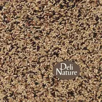 Deli Nature Binnenvogels- Vogelvoer- Kanarie- 53 Kanariezaad Extra- 2 kilo