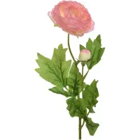 Ksd Ranunculus polyester W8-H57cm soft pink