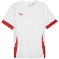 Puma teamGOAL Matchday Jersey - Wit/Rood - Kids