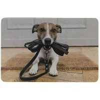 Mars & More deurmat humor jack russell 75x50cm