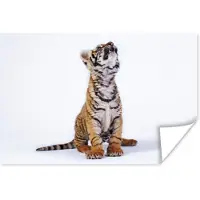 PosterMonkey Poster Tijger - Welp - Wit - 180x120 cm XXL