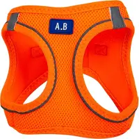 Animal Boulevard Ab32214 - Hals- En Leibanden - Hond - Ab Air-mesh Comfortharnas Oranje-xxxs 1,5-3kg - Maat: Xxxs 1,5-3kg - 205628