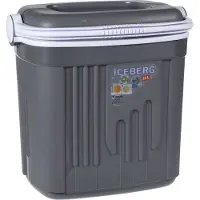 Coppens Koelbox iceberg 20 liter grijs |