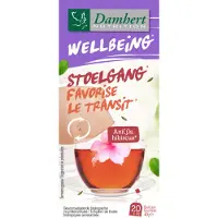 Damhert 3x Wellbeing Thee Stoelgang 20 Stuks