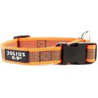 Julius-K9 IDC Halsband Antislip - Oranje - 25mm x 39-65cm