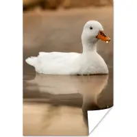 PosterMonkey Poster Eend - Vogel - Water - Wit - 120x180 cm XXL