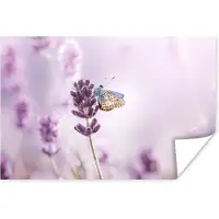 PosterMonkey Poster Lavendel - Vlinder - Close-up - Paars - 90x60 cm