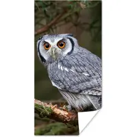 PosterMonkey Poster Uil - Vogel - Takken - Natuur - 80x160 cm