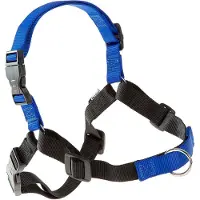 Ferplast Coach Harness Blauw XL