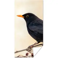 PosterMonkey Poster Merel - Vogel - Takken - Bes - Rood - 60x120 cm