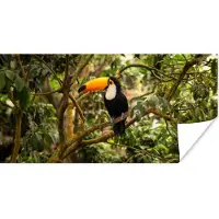 PosterMonkey Poster Vogel - Toekan - Jungle - Natuur - Tropisch - 120x60 cm