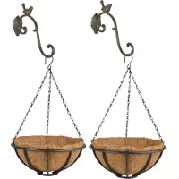 Esschert Design Set van 2x stuks Hanging baskets 30 cm van metaal met ijzeren muurhaken - Complete hangmand set