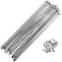 Mvtek Zinc D. 2 Mm Spokes 100 Units Zilver 296 mm