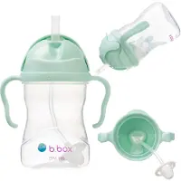 B.Box Innovatieve fles met het pistache rietje 6m + B.Box