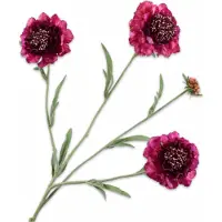 Silk-ka - Kunsttak - scabiosa - roze - H80 cm