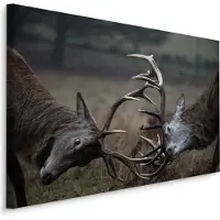 Karo-art Schilderij - Vechtende Herten, 5 maten, Premium Print