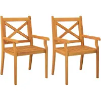 vidaXL Tuinstoelen 2 st massief acaciahout