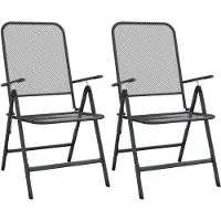 vidaXL Opklapbare stoelen, 2 stuks, van geëxpandeerd metaalgaas, antraciet.