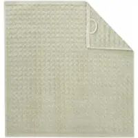 Cawö Keukendoek Pro Wasabi (Set van 4)