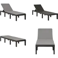 vidaXL Ligbed met kussen kunststof antracietkleurig - Ligstoel - Ligstoelen - Loungebed - Loungebedden