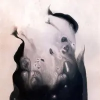 Konkurrent Marla Hansen - Salt (LP)