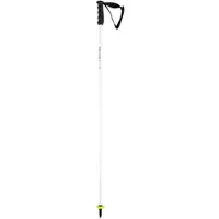 Head Skistok Worldcup Rebels Carbon White / Black-105 cm