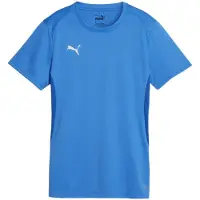 Puma Functioneel shirt 'Team Goal' blauw / wit