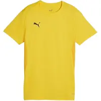 Puma Functioneel shirt 'Team Goal' geel