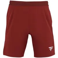 Tecnifibre Team Shorts Rood XS Man