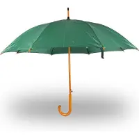 Discountershop Paraplu Groene Paraplu - Winddicht en Automatisch voor Volwassenen | 98 cm Diameter - Met Houten Stok en Handvat