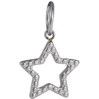 Go Dutch Label Hanger open star Zilver