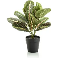 Emerald - Kunstplant in pot Maranta 30cm - Kunstplant voor binnen