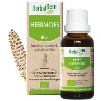 Herbalgem Heermoes Bio | 30 ml