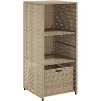 vidaXL Tuinkast 50x55x115 cm poly rattan beige