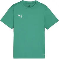 Puma Functioneel shirt 'TeamGoal' groen / wit
