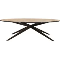 Livin24 Visgraat eettafel ovaal Ilva PVC 280 x 110 cm