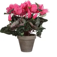 Mica Decorations Kunstplant cyclaam roze in pot
