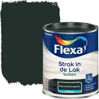 Flexa Strak in de lak voor buiten monumentengroen zijdeglans 750 ml