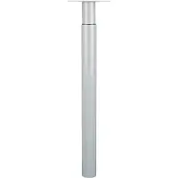 Duraline Meubelpoot Verstelbaar Staal 5,6x70-110cm Grijs