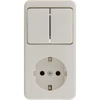 Berker Opbouw combinatie wandcontactdoos (wcd) RA 1-voudig + serieschakelaar polarwit