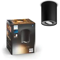 Philips Pillar 1-Spot opbouwspot White Ambiance Zwart + dimmer