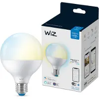 Wiz Globe lamp - Warm- tot Koelwit Licht - Slimme LED Verlichting - E27 fitting - 75W - Mat