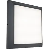 Lutec Vierkante wandlamp Helena antraciet