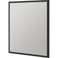 Tiger Frame Spiegel S-line 60x70 cm Mat Zwart
