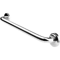 SecuCare wandbeugel 450 mm ø25 mm rvs gepolijst